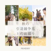 画像291
