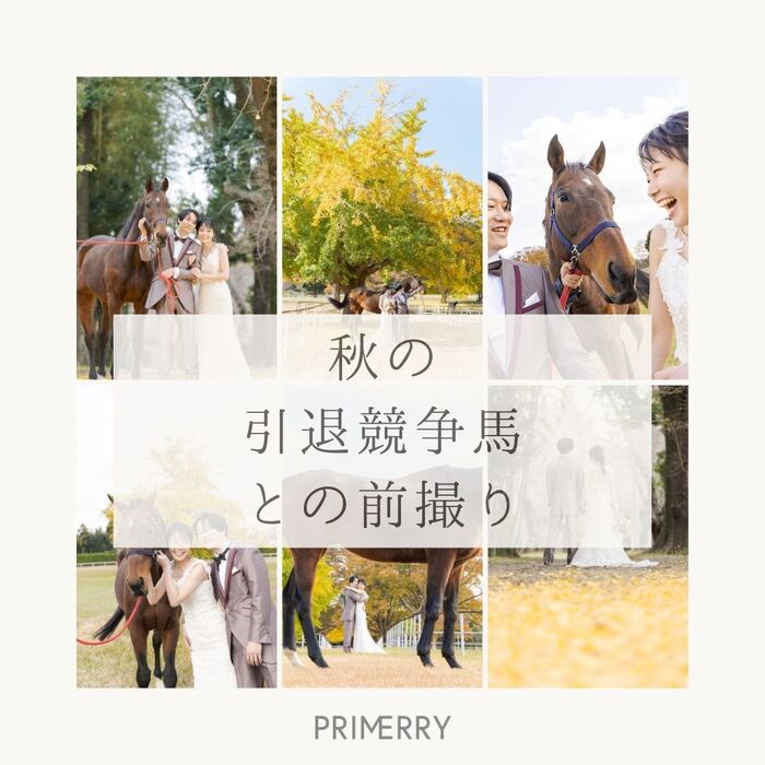 画像291