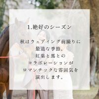 画像292