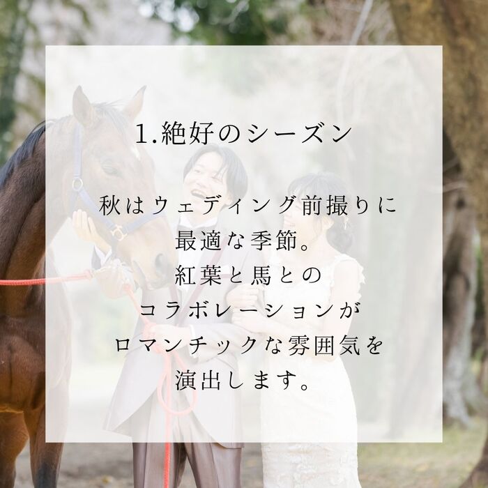 画像292