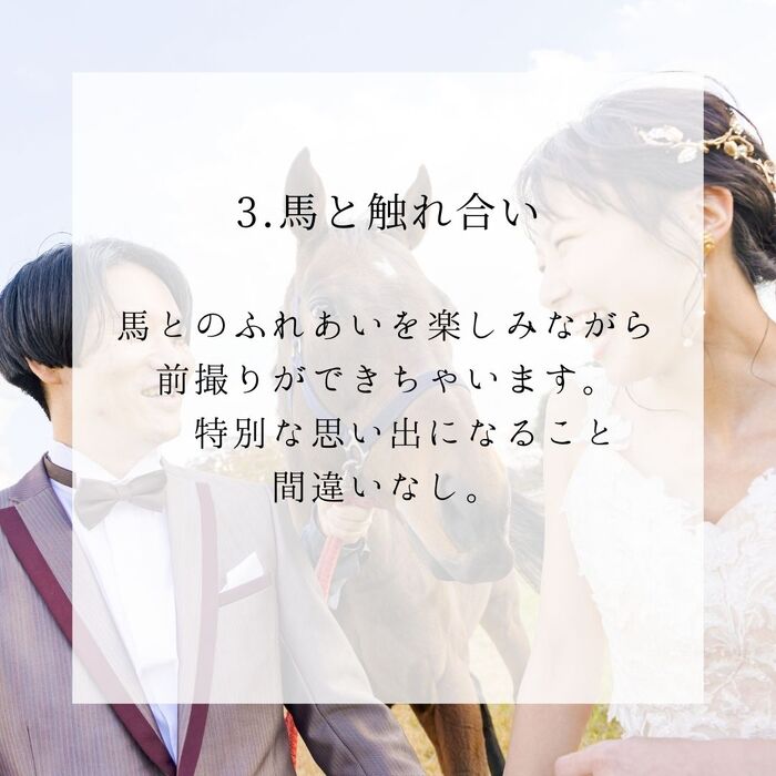画像294