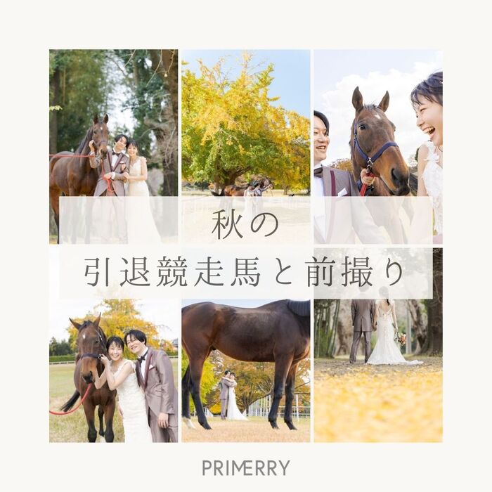 画像298