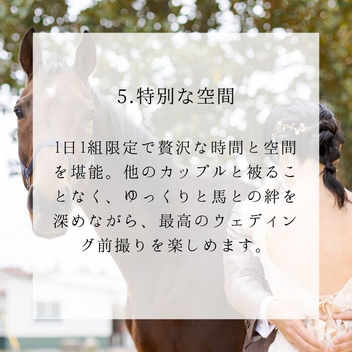 画像303