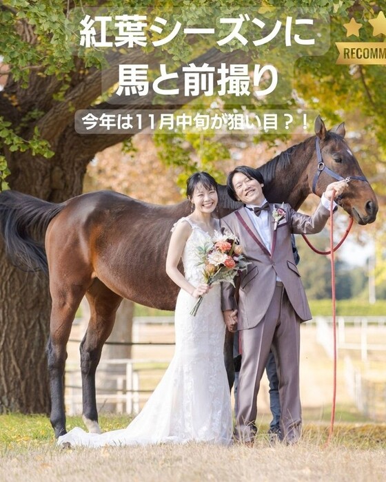 画像314