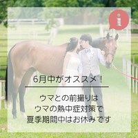 画像489