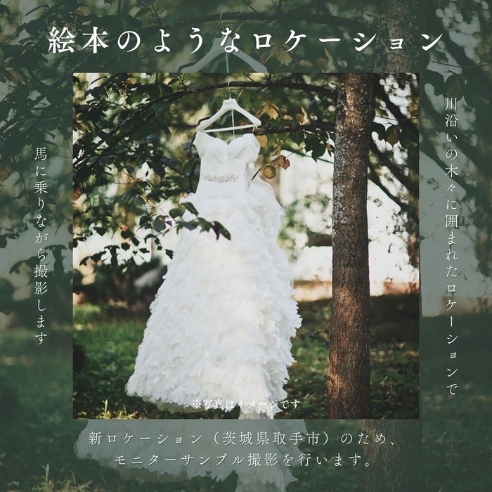画像513
