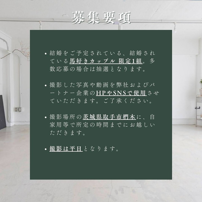 画像515