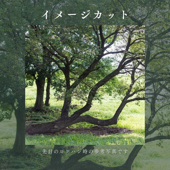 画像518