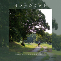 画像519