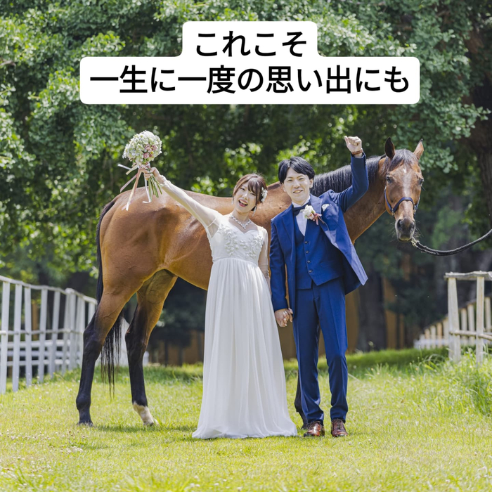 画像536