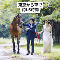 画像538