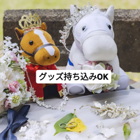 画像539