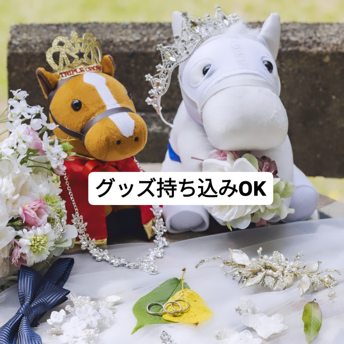 画像539