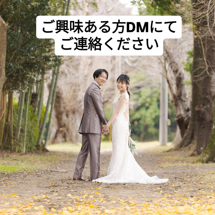 画像541